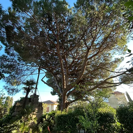 Maison Romia Villa Frejus